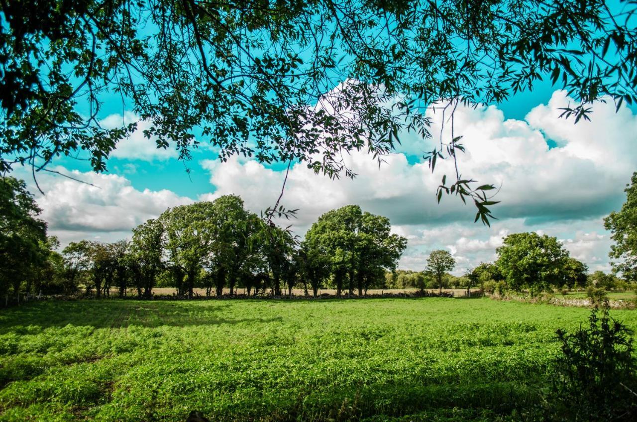 Corrib View Farmhouse Galway Exterior foto